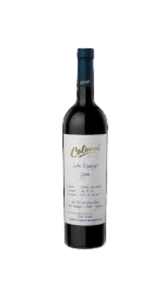COLOME LOTE ESPECIAL SYRAH 2023