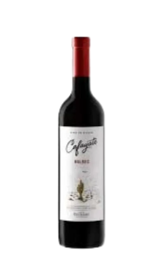 CAFAYATE MALBEC