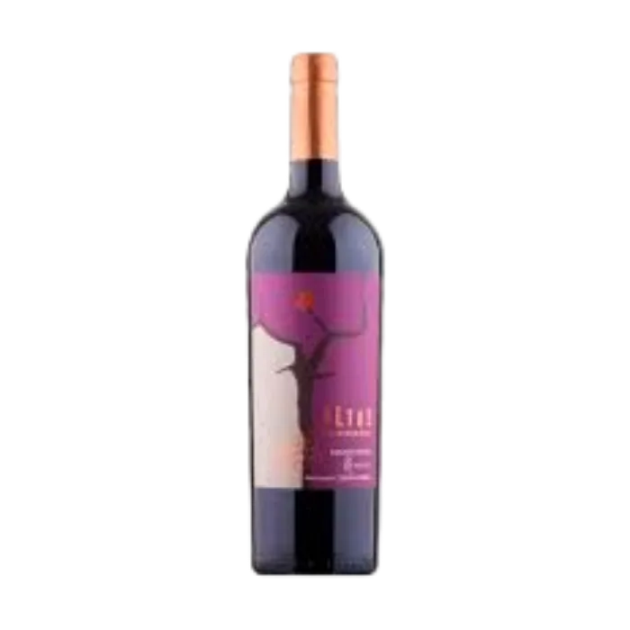 ALTOS LA CIENAGA TANNAT-SHIRAZ RESERVA