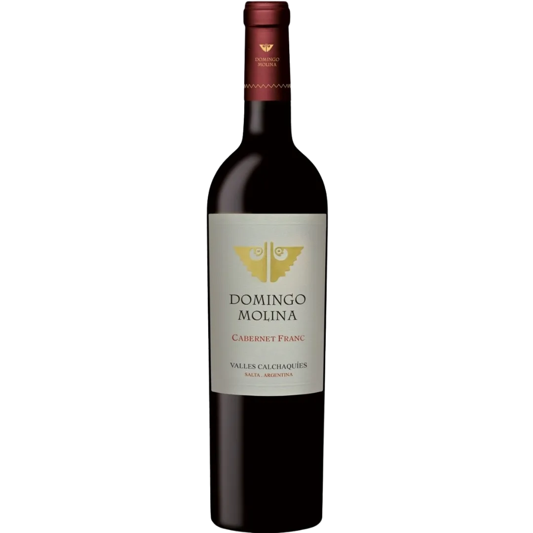 DOMINGO MOLINA CABERNET FRANC 2022