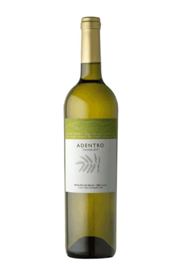 ADENTRO TORRONTES 2023