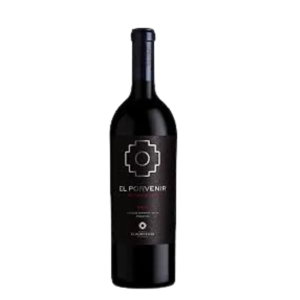 EL PORVENIR ICONO MAGNUM 2018