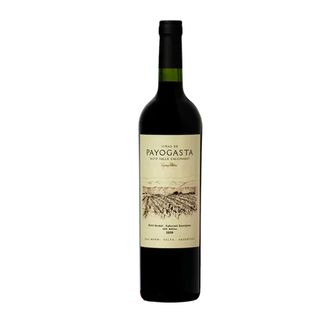 PAYOGASTA PETIT VERDOT-CABERNET SAUVIGNON 2021