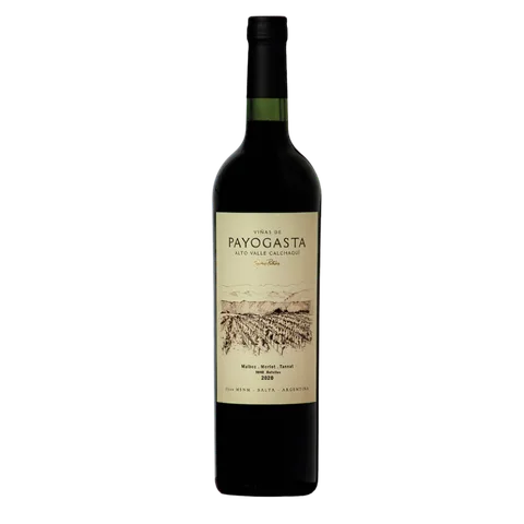 PAYOGASTA MALBEC-MERLOT-TANNAT 2020