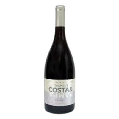 COSTA Y PAMPA PINOT NOIR 2024