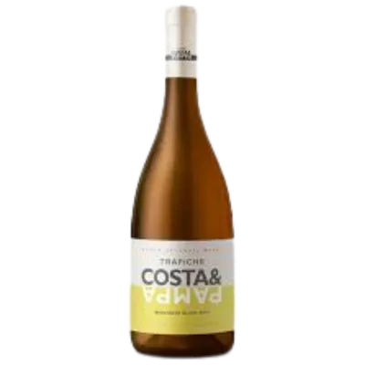 COSTA Y PAMPA SAUVIGNON BLANC 2023