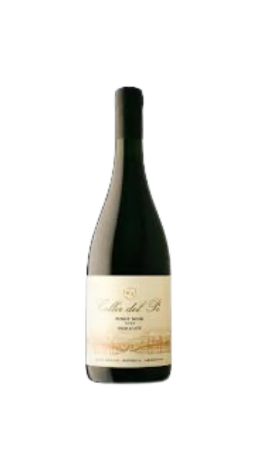 CELLER DEL PI PINOT NOIR 2022