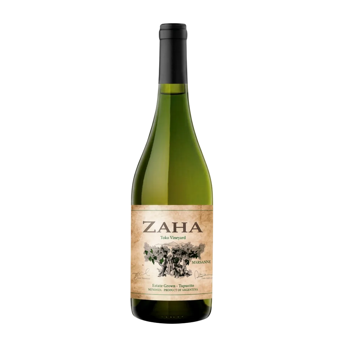 Zaha El Marsanne 2020