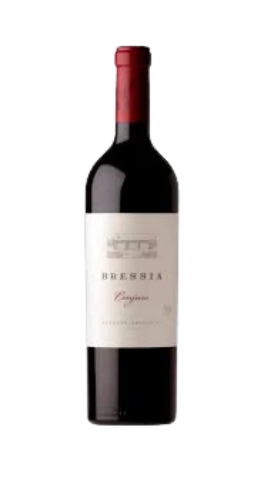 BRESSIA CONJURO 2017