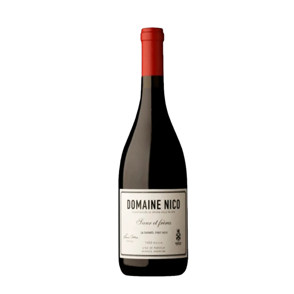 DOMAINE NICO LA SAVANTE 2021