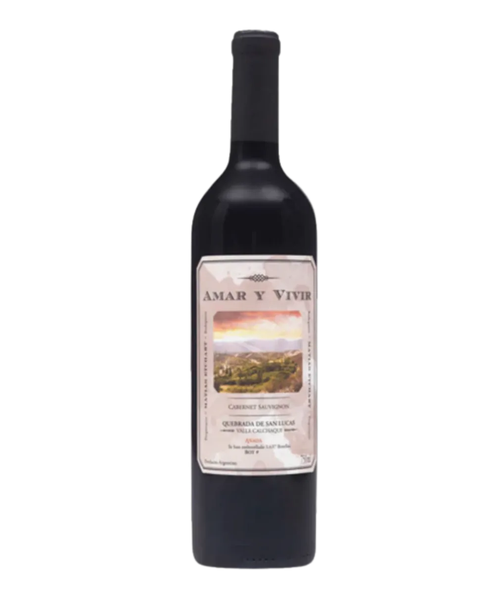 AMAR Y VIVIR MALBEC 2022