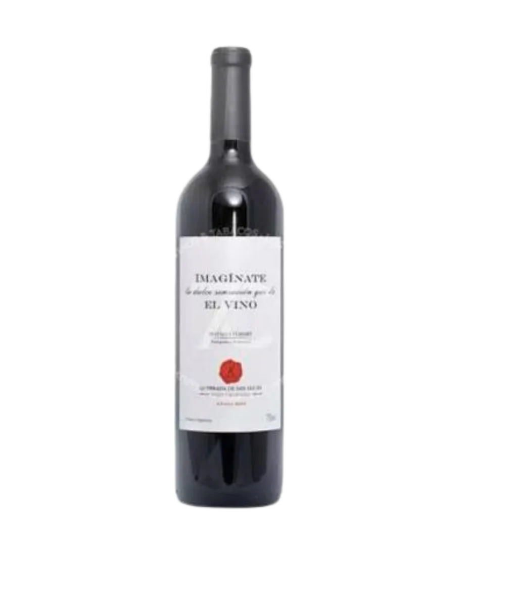 IMAGINATE MALBEC ARCA YACO 2024