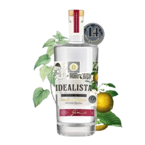 Gin Idealista