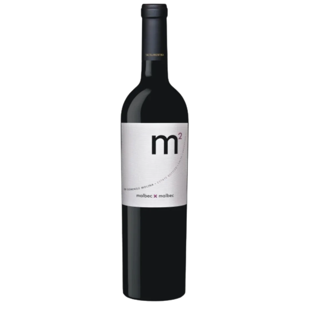 DOMINGO MOLINA M2 2017