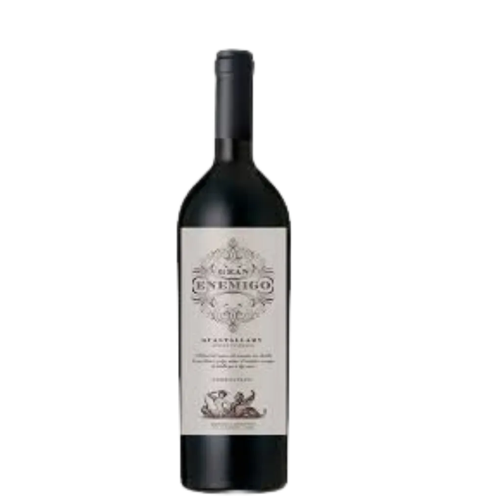 GRAN ENEMIGO GUALTALLARY 2019 CABERNET FRANC